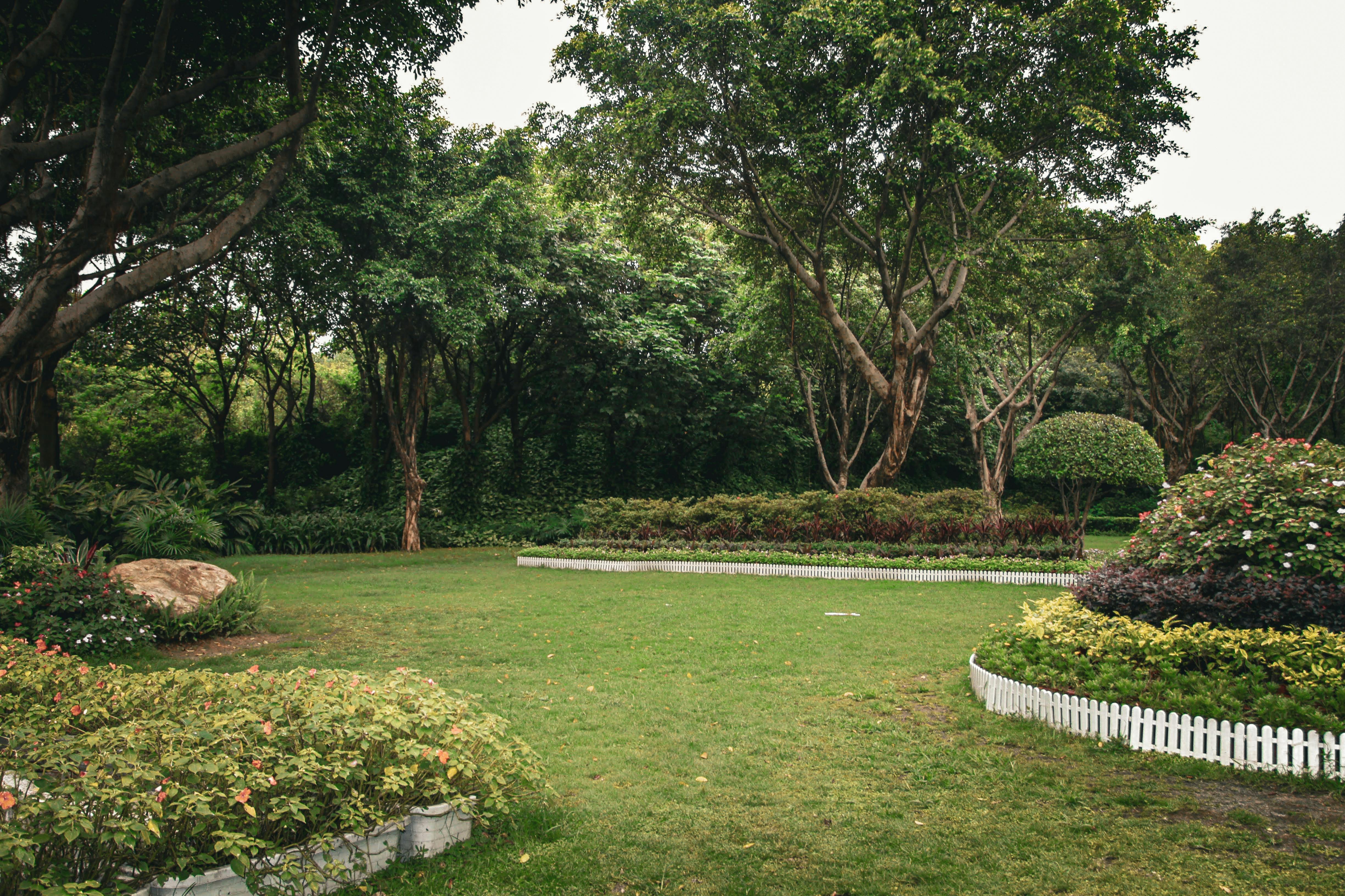 Jardin contemporain aménagé — Paysages Verdure Carquefou